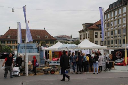 beef_2017_Bern_Waisenhausplatz_5.jpg